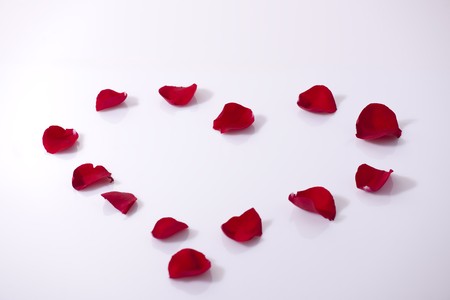 Rose petals heartの写真素材