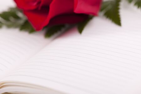 Red rose on planner, selective focus, copy-space for your own textの写真素材