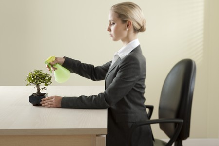 Businesswoman watering her bonsai treeの写真素材