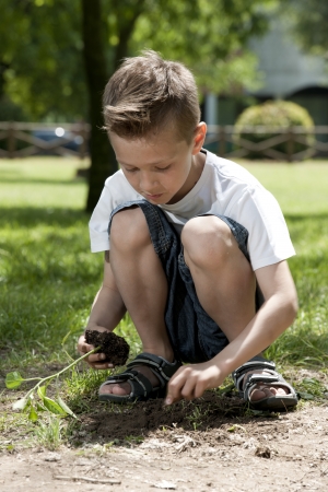 Little boy plantingの写真素材