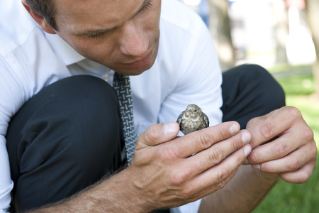 Businessman with a little birdの写真素材