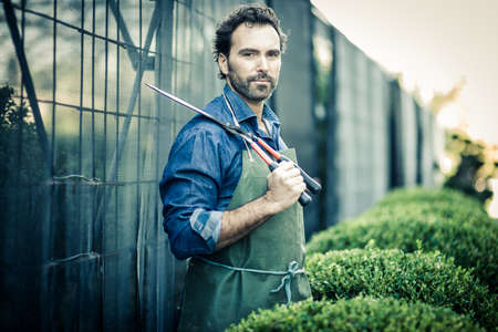 Gardener pruning at nursery, looking at cameraの写真素材