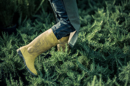 Close-up of gardener bootsの写真素材