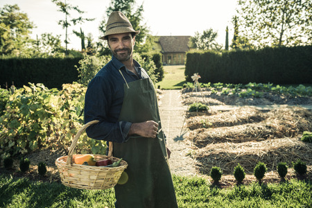 Worker with basket of organic vegetables, picked up from a synergistic vegetable gardenの写真素材
