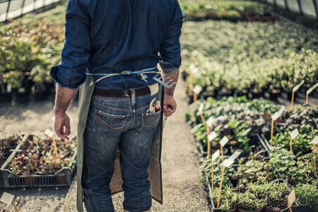 Gardener inside a grreenhouseの写真素材