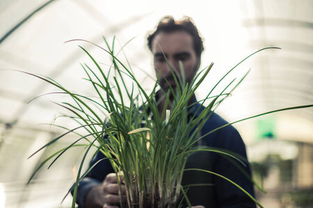 Gardener inside a grreenhouseの写真素材