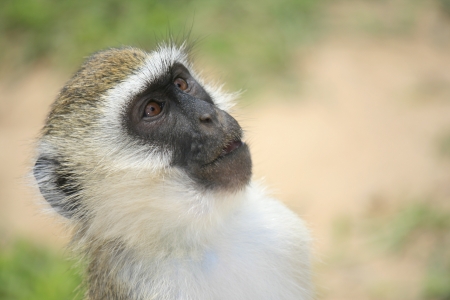 Kenya