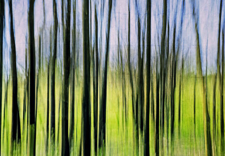 Abstract painting lawn and wood artisticの写真素材