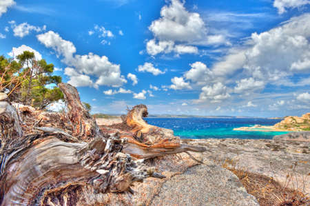 Sea Landscape in HDRの写真素材