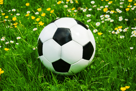 White and black soccer ball is lying in the grass between flowers in the summerの写真素材