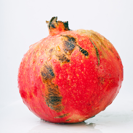 pomegranate on white backgroundの写真素材