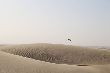 Dunes in the Wahiba Desert, Oman