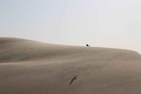 Dunes in the Wahiba Desert, Omanの写真素材
