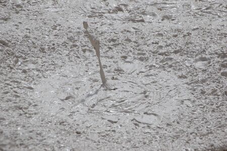 Boiling mud puddle at Yellowstone parkの写真素材