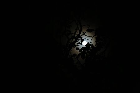 The hole in the night into the Monteverde Forest