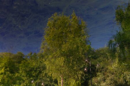 Italy, The magic of water on the Livenza River