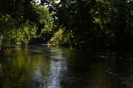 Italy, the splendid deep green waters of the Livenza river