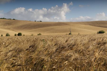 View of the Tuscan countrysideの写真素材
