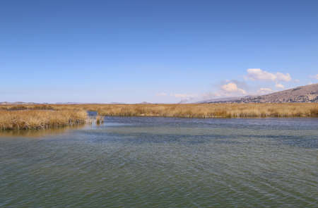 View of the Titicaca lakeの写真素材