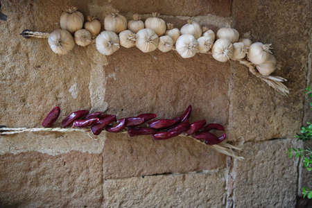 Garlic and chilli to dry in the sunの写真素材
