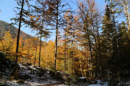 Autumn in the Fusine lakes Natural Park, Italyの写真素材