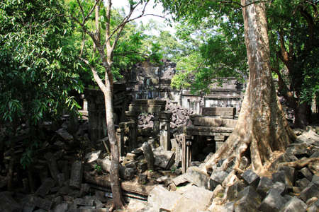 Jungle ruins of Beng Mealea temple, Cambodia