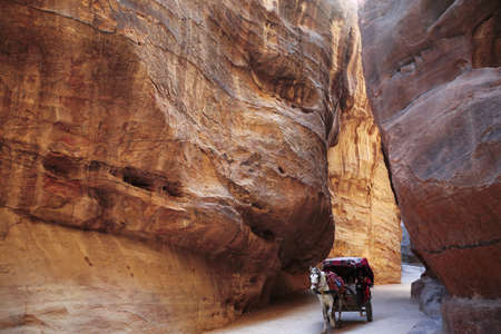 The Siq of Petra with its beautiful rocks and the inevitable horse drawn carriageの写真素材