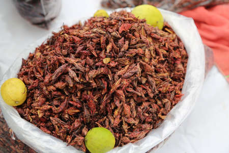 Fried insects for sale at the market in Cholula, Mexico