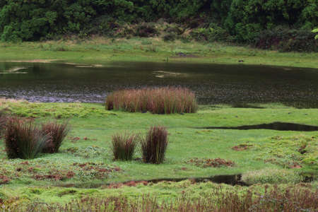 Lagoa do Negro, Terceira island, Azores