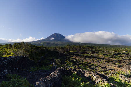 Typical landscape of the island of Pico with the mountain Pico in the background, Azoresの写真素材