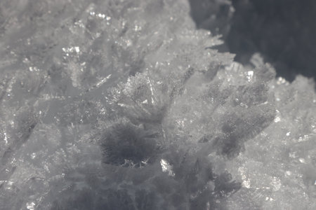 Beautiful ice crystals in the snow of Val Saisera, Italy