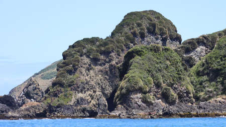 The Isolotes de Punihuil, Chileの写真素材