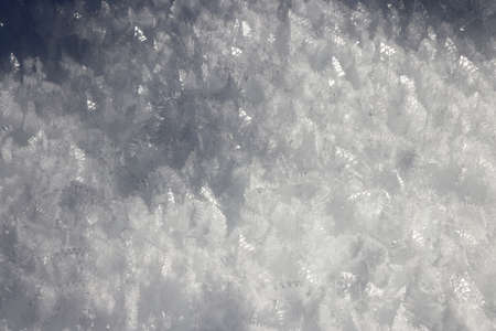 The snow of Val Saisera covered with ice crystals, Italyの写真素材