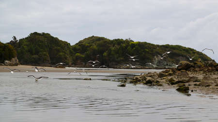 View of the characteristic landscape of Duhatao bay, Chileの写真素材