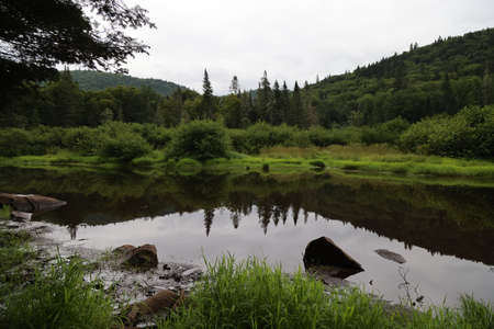 Glimpse of La Mauricie National Park, Quebecの写真素材