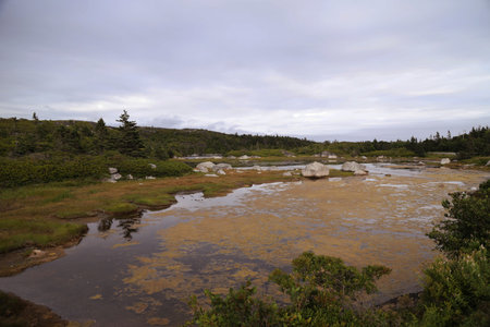 Nova Scotia coast near Halifax, Canada