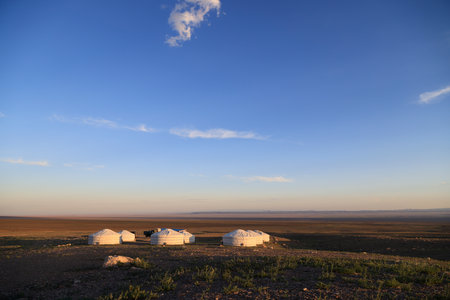 Traditional Mongolian Gers in a camp at sunsetの写真素材