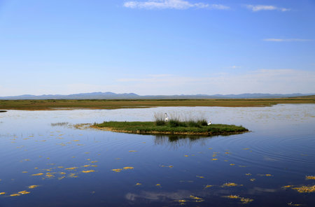Lake landscape in the Mongolian steppeの写真素材