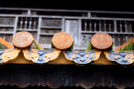 Roof decorations in the Forbidden Citadel in Hue during a rainy day, Vietnam