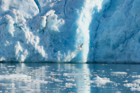 The Ice Colors of Lilliehookbreen Fjord in Svalbard