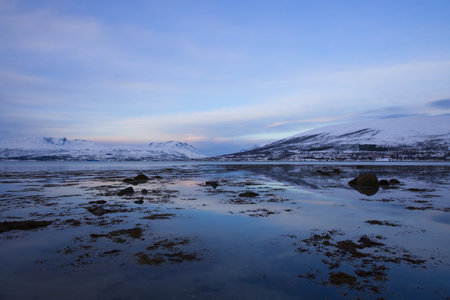 View of the fjord in Tromso, Norwayの写真素材