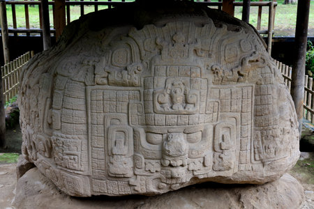 Mayan Stele at Quirigua Site, Guatemalaの写真素材