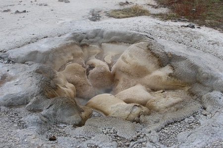 Geysers in Yellowstone National Park, Wyoming