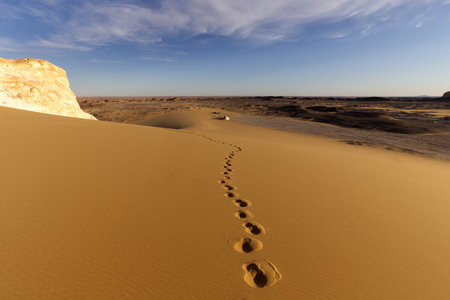 The beautiful landscapes of Agabat Valley, Egyptの写真素材