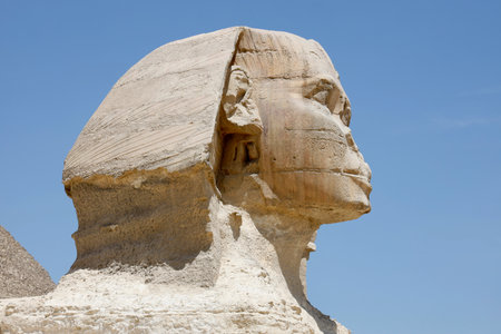 The Sphinx at Giza, Cairo, Egyptの写真素材