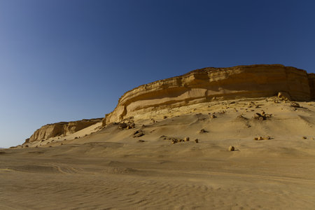The Whale Desert, also known as Wadi Al Hitan, Egyptの写真素材