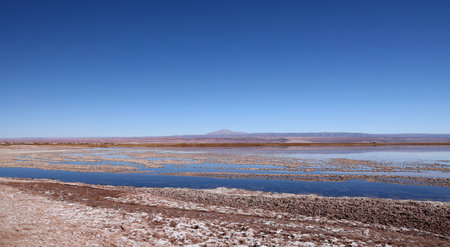 Tebinquiche Lagoon in the Atacama Desert, Chileの写真素材
