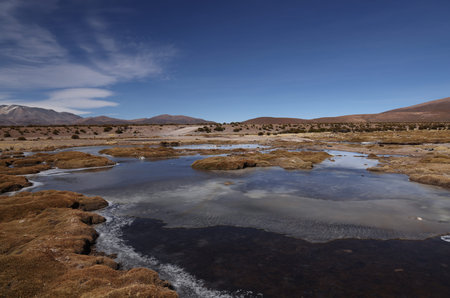 The Sitani River in Volcan Isluga National Park, Chile