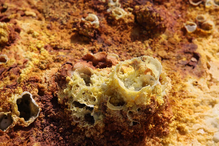 The colors of salt generated by the mineral-laden vapors of Dallol Volcano, Ethiopiaの写真素材