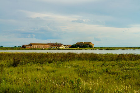 panorama with the river, the Po Deltaの写真素材